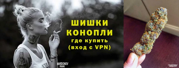 дурь Вяземский