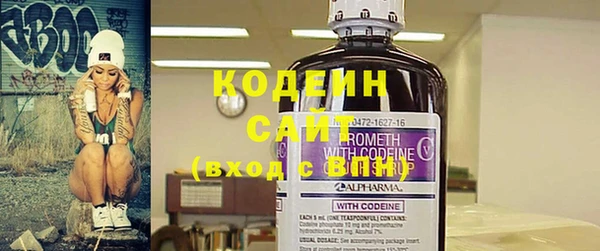 шишки Горнозаводск