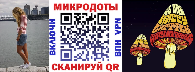 хочу   Ивангород  Псилоцибиновые грибы прущие грибы 